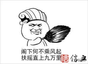 支付宝交付央行备付金200亿 支付宝变身全民POS机